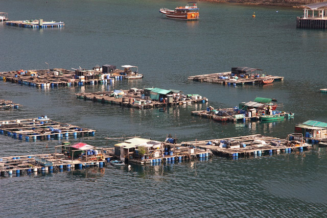 Ilustrasi akuakultur modern. Foto: Pexels