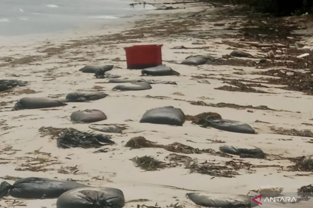 Karung goni berisi limbah minyak hitam terdampar di kawasan Pantai Trikora, Kabupaten Bintan, Kepri, Selasa (3/2/2026). Foto: Ogen/ANTARA