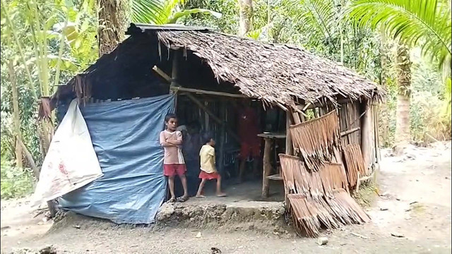 Rumah milik Fransina Tamaela (69) yang hidup terasing di tengah hutan Desa Haria, Kecamatan Saparua, Kabupaten Maluku Tengah. Foto: kumparan