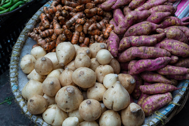 Ilustrasi tanaman bengkuang. Foto: Pixabay