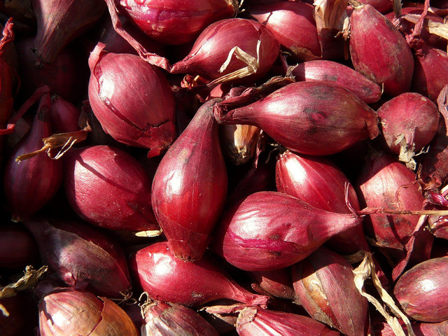 Ilustrasi bawang merah. Foto: Pixabay
