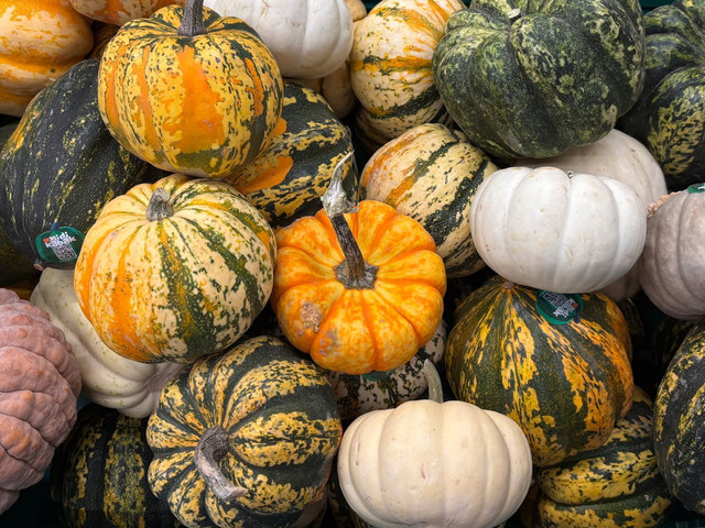 Ilustrasi buah labu kuning. Foto: Pexels