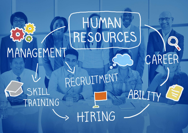 Fungsi Human Resource dalam organisasi. Foto: Freepik