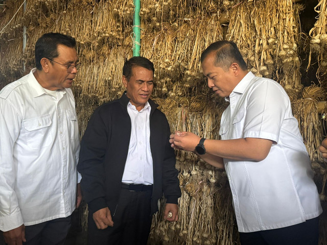 Menteri Pertanian (Mentan) Andi Amran Sulaiman dalam kunjungannya ke Kecamatan Sembalun, Kabupaten Lombok Timur, NTB, Senin (9/2/2026). Foto: Dok Kementan