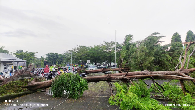 Cuaca ekstrem hujan dan angin kencang menyebabkan sejumlah pohon tumbang dan dua orang dilaporkan meninggal dunia karena tersambar petir di Kabupaten Sleman, Yogyakarta, Senin (9/2/2026). Foto: Dok. BPBD Sleman