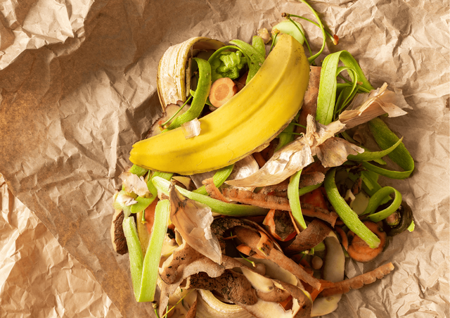 Ilustrasi sampah rumah tangga. Foto: Dokumentasi pribadi 