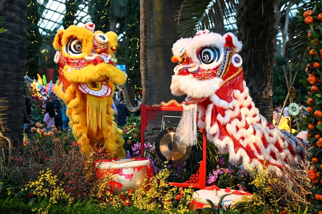Ilustrasi Jadwal Pertunjukan Barongsai 2026 di Jakarta,Foto:Unsplash/Scribbling Geek