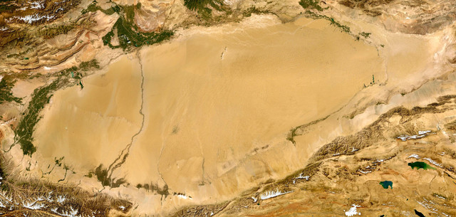 Ilustrasi Gurun Taklamakan, kini berubah menjadi carbon sink. Foto: Omer Faruk/Shutterstock