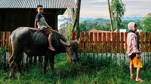Ilustrasi Anak-anak di Toraja. Foto: Unsplash.