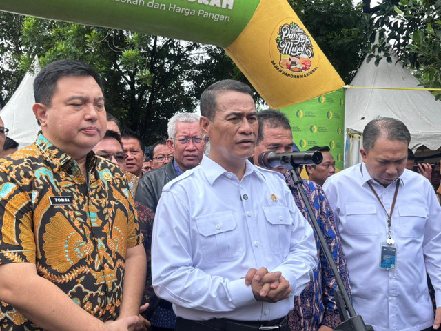 Menteri Pertanian sekaligus Kepala Badan Pangan Nasional Andi Amran Sulaiman di Kantor Kementerian Pertanian, Jumat (13/2). Foto: Ave Airiza Gunanto/kumparan