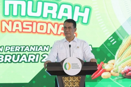 Menteri Pertanian sekaligus Kepala Badan Pangan Nasional Andi Amran Sulaiman. Foto: Bakom RI