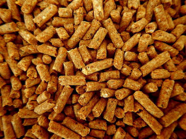 Ilustrasi tujuan fermentasi pakan ikan. Foto: Pixabay