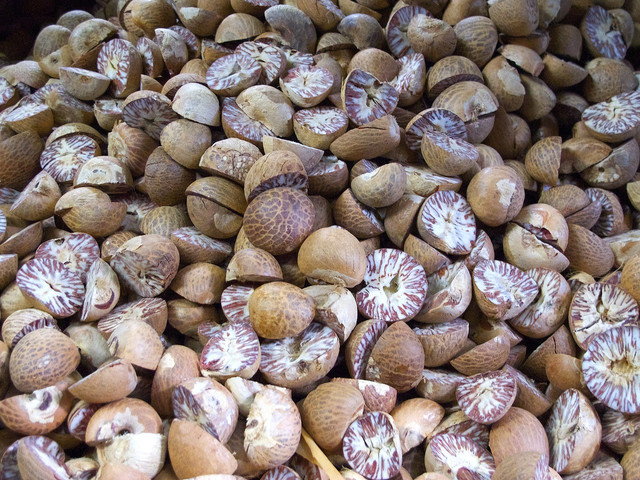 Ilustrasi buah pala. Foto: Pixabay