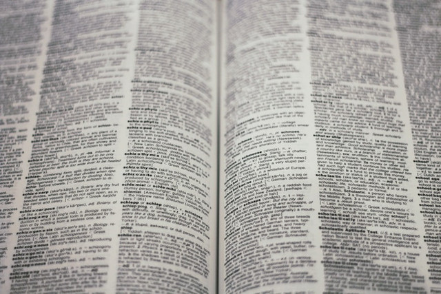Ilustrasi Apa Arti Kalimat Efektif, Foto:Unsplash/Joshua Hoehne