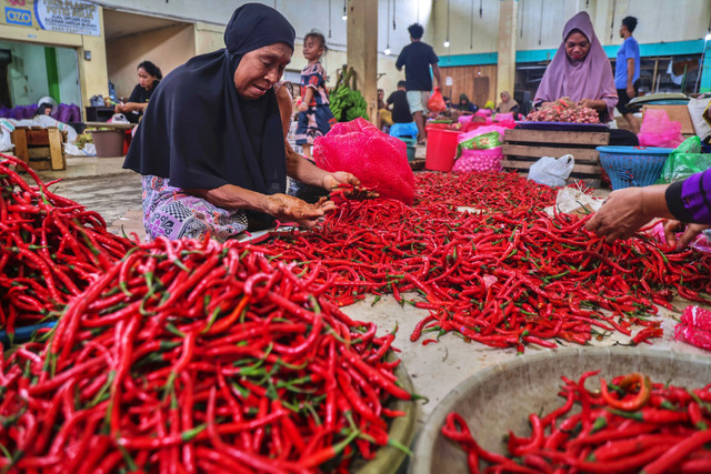 Pedagang menyortir cabai merah keriting yang dijual di Pasar Barito, Ternate, Maluku Utara, Minggu (22/2/2026). Foto: Andri Saputra/ANTARA FOTO