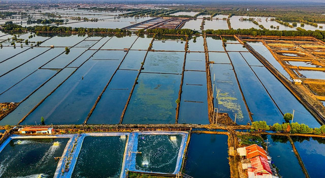 Ilustrasi jenis-jenis tambak. Foto: Pexels