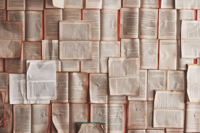 Ilustrasi Unsur Ekstrinsik Cerpen adalah, Foto:Unsplash/Patrick Tomasso