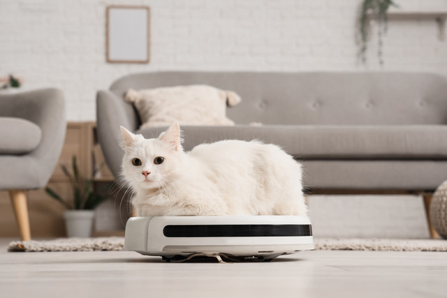 Ilustrasi robot vakum. Foto: Pixel-Shot/Shutterstock