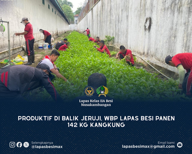 Produktif di Balik Jeruji, WBP Lapas Besi Panen 142Kg Kangkung