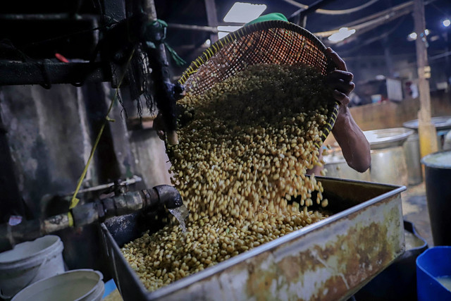 Pekerja mengolah kedelai menjadi tahu di pabrik tahu kawasan Duren Tiga, Jakarta, Rabu (25/2/2026). Foto: Jamal Ramadhan/kumparan