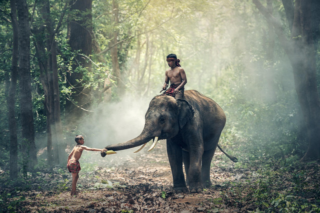 Ilustrasi Masyarakat di Nusantara. Foto: Pixabay.
