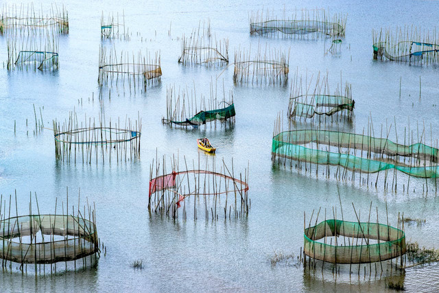 Ilustrasi kelebihan keramba jaring tancap. Foto: Pexels