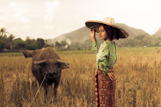 Ilustrasi Masyarakat Minangkabau. Foto: Pixabay.