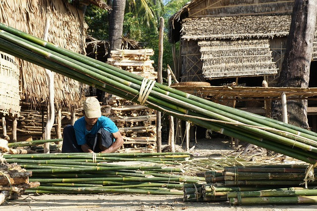 Bambu atau rotan adalah alat utama dalam permainan maccukke khas Sulawesi Selatan. Sumber foto: pixabay.com