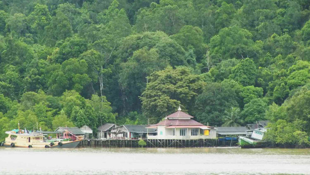 Ilustrasi Kalimantan Selatan. Foto: Unsplash.