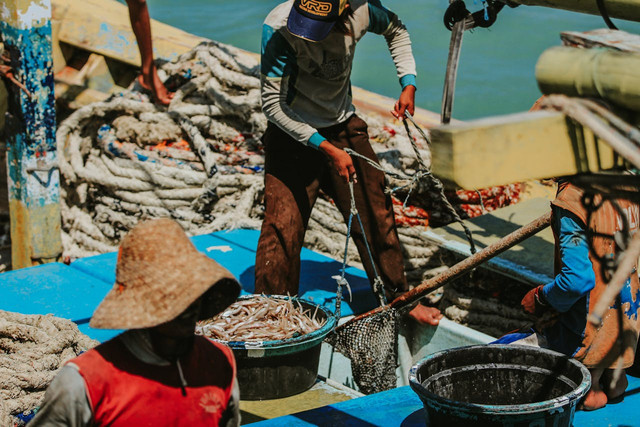 Ilustrasi manfaat sumber daya perikanan. Foto: Pexels