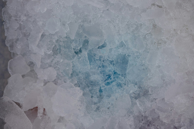 Ilustrasi keunggulan slurry ice dalam menjaga kualitas ikan. Foto: Unsplash