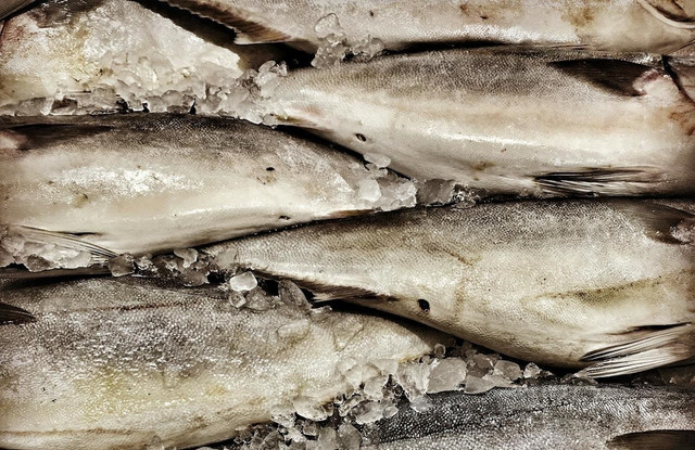 Ilustrasi cara kerja mesin Individual Quick Freezing (IQF) atau pembekuan cepat. Foto: Pexels