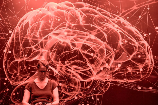 Ilustrasi Siapa IQ Tertinggi di Indonesia,Foto:Unsplash/Markus Kammermann