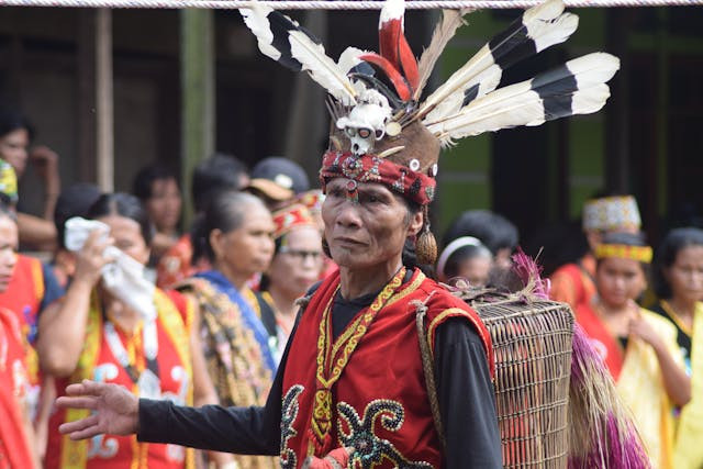 Tari Enggang terinspirasi dari burung enggang. Nampak seorang tokoh memakai tutup kepala berbulu enggang. Sumber foto: pexels.com
