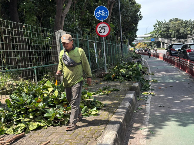 Petugas Sudin Tamhut Jakarta Timur memangkas pepohonan yang ada di Hutan Kota Cawang di Jalan D.I. Panjaitan, Jakarta Timur, pada Sabtu (28/2/2026). Foto: Abid Raihan/kumparan