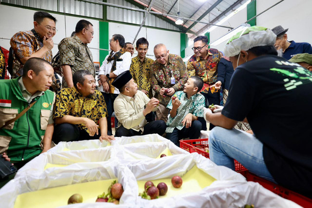 Ekspor manggis Subang ke China. Foto: Dok. Humas LPDB