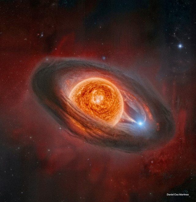 Ilustrasi bintang raksasa WOH G64 yang dikelilingi awan debu berbentuk donat. Ia terikat secara gravitasi dengan bintang lain yang berwarna biru, dalam apa yang disebut sistem biner. Foto: Daniel Cea Martinez/Handout via REUTERS