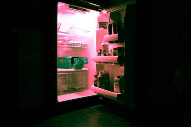 Ilustrasi rekomendasi kulkas 1 pintu freezer besar. Foto: Unsplash