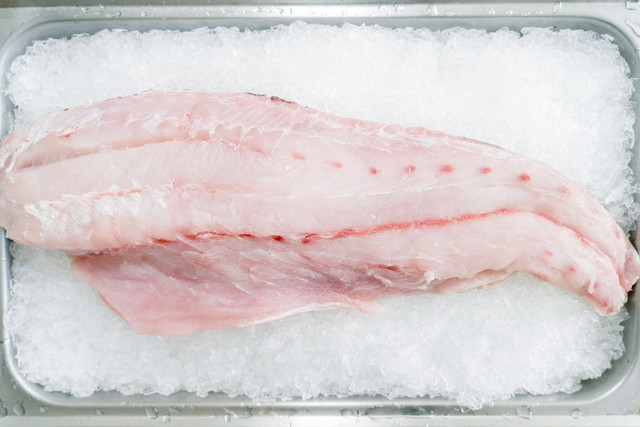 Ilustrasi keunggulan contact plate freezer pada ikan. Foto: Pexels