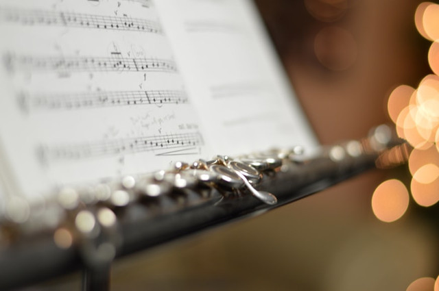 Ilustrasi Contoh Alat Musik Ditiup, Foto:Unsplash/Rajesh Kavasseri