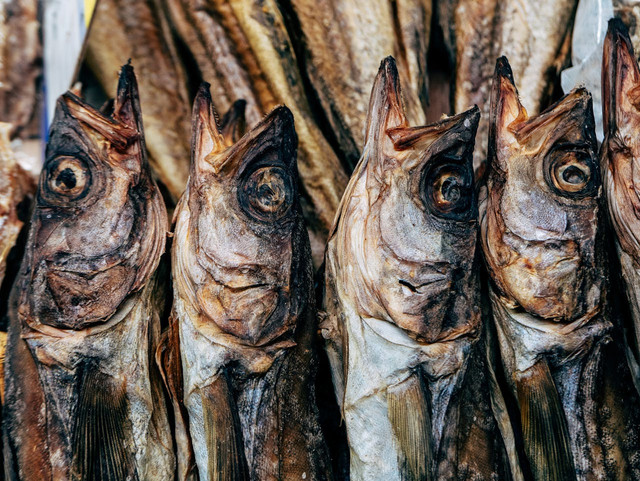 Ilustrasi prinsip freeze drying pada ikan. Foto: Pexels