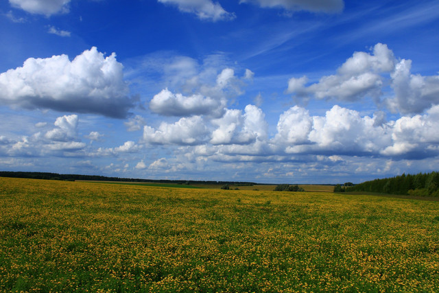 Ilustrasi musim kemarau. Foto: Unsplash