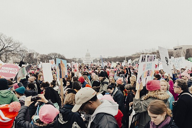 Sumber: Womans March on Washington by Roya Ann Miller, 2017, CC0 / Public Domain.