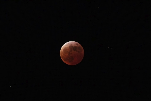 Arti gerhana bulan di bulan Ramadhan, foto hanya ilustrasi: Unsplash/Erika Löwe