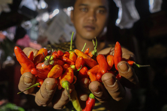 Pedagang menunjukan cabai rawit merah yang dijual di Pasar Cibinong, Kabupaten Bogor, Jawa Barat, Kamis (5/3/2026). Foto: Yulius Satria Wijaya/ANTARA FOTO