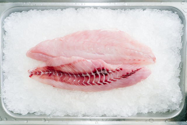 Ilustrasi contoh active packaging untuk produk ikan. Foto: Pexels
