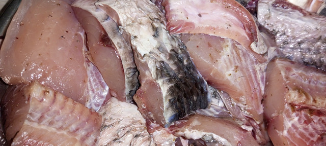 Ilustrasi proses pencucian surimi. Foto: Unsplash