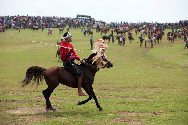 Ilustrasi pelaksanaan Upacara Pasola di Sumba. Sumber foto: pexels.com