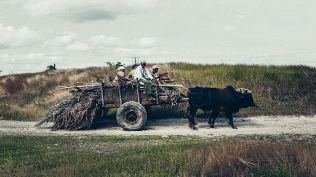 Ilustrasi Mapalus di Minahasa. Sumber foto: pexlels.com
