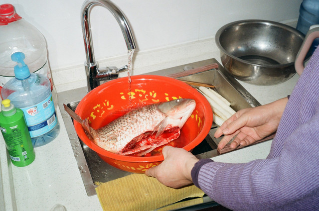 Ilustrasi tujuan thawing ikan. Foto: Unsplash